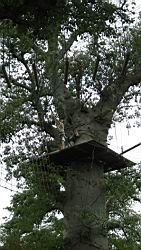 2012.10.21.24.JPG