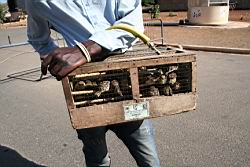 2013.02.19-28.15.jpg