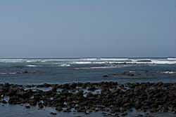 2013.02.19-28.47.jpg