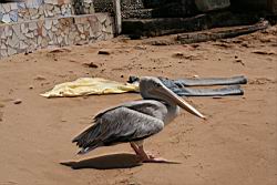 2013.02.19-28.52.jpg
