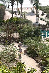2013.04.01-04.32.jpg