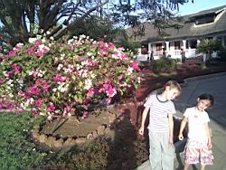 2013.04.01-04.60.jpg