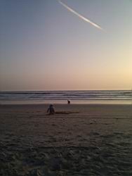 2013.04.01-04.77.jpg