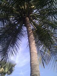 2013.04.01-04.81.jpg