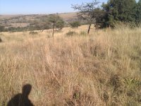 2013.05.4-11.26