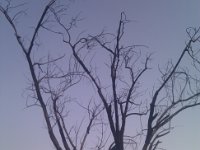 IMG 20150524 172019