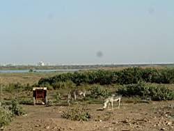 DSCF5651.JPG