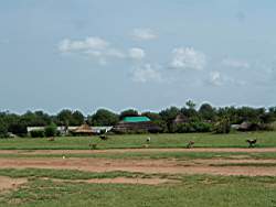 DSCF5769.JPG