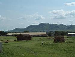 DSCF5771.JPG