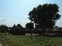 DSCF5773.JPG