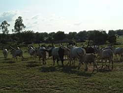 DSCF5784.JPG