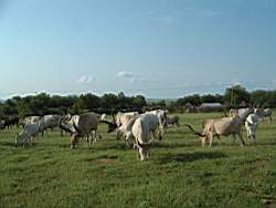 DSCF5785.JPG