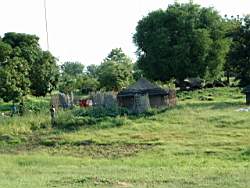 DSCF5787.JPG