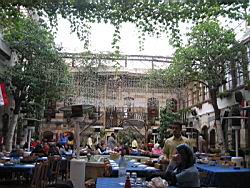 IMG_7122.jpg