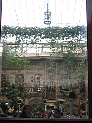 IMG_7123.jpg