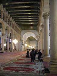 IMG_7137.jpg