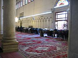 IMG_7138.jpg