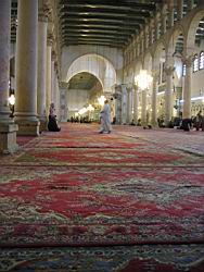 IMG_7140.jpg