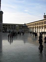 IMG_7142.jpg