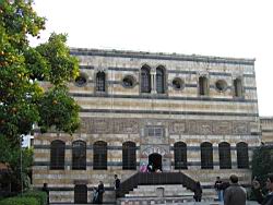 IMG_7148.jpg