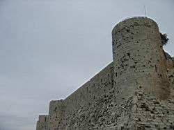 IMG_7170.jpg