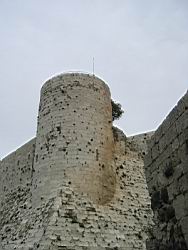 IMG_7171.jpg