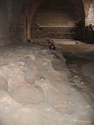 IMG_7175.jpg