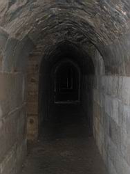 IMG_7176.jpg
