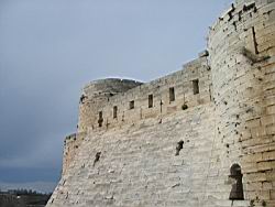 IMG_7177.jpg