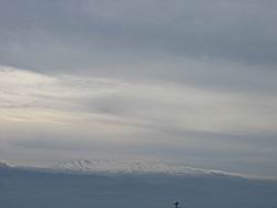 IMG_7185.jpg