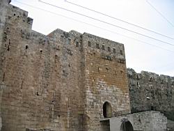 IMG_7193.jpg
