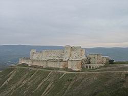 IMG_7194.jpg