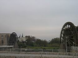 IMG_7195.jpg