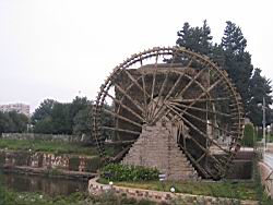 IMG_7196.jpg