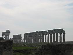 IMG_7216.jpg