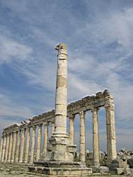 IMG_7220.jpg