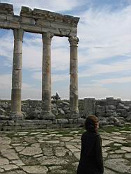 IMG_7223.jpg