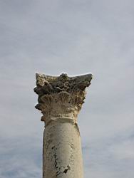 IMG_7224.jpg