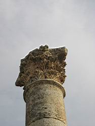 IMG_7225.jpg