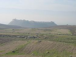 IMG_7229.jpg