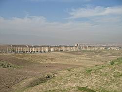 IMG_7230.jpg