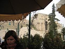 IMG_7247.jpg