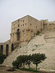 IMG_7250.jpg