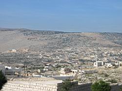 IMG_7260.jpg