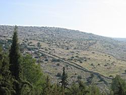 IMG_7261.jpg