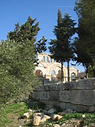 IMG_7264.jpg
