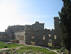 IMG_7270.jpg