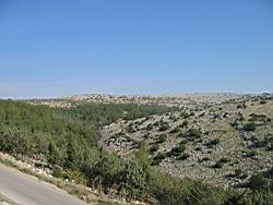 IMG_7271.jpg