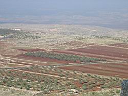 IMG_7272.jpg