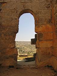 IMG_7277.jpg